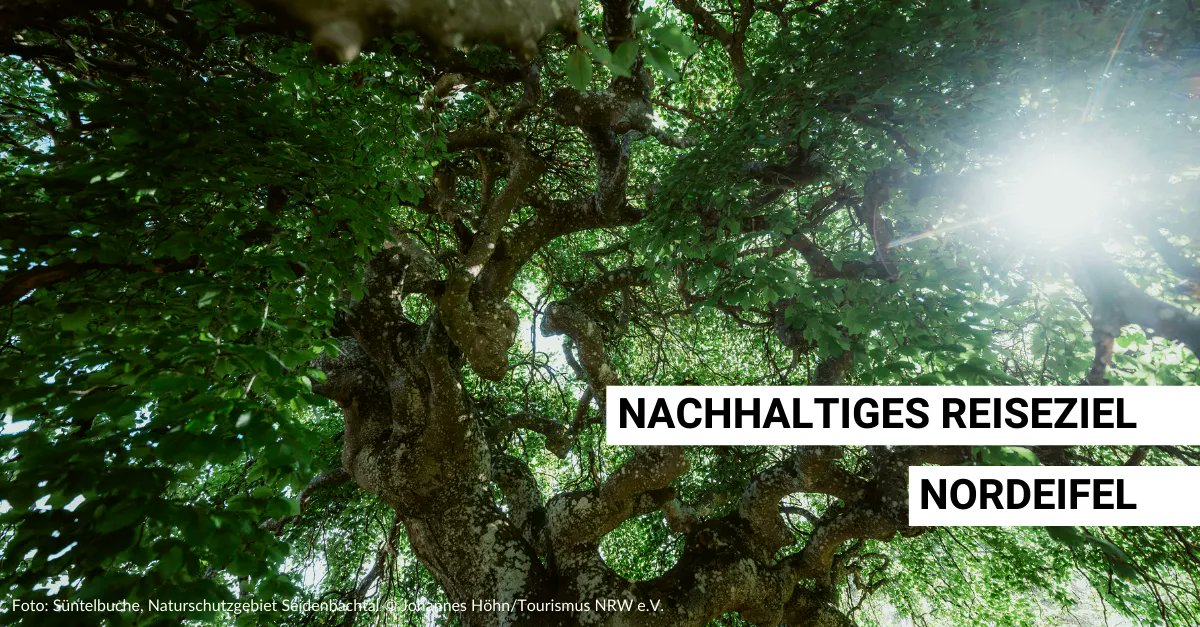 Schon seit vielen Jahren macht sich die Nordeifel für einen nachhaltigen #Tourismus stark. Jetzt ist sie auch offiziell als “Nachhaltiges Reiseziel” von Tourcert zertifiziert worden. 👉 buff.ly/3HDC4yM #Nachhaltigkeit #DeinNRW