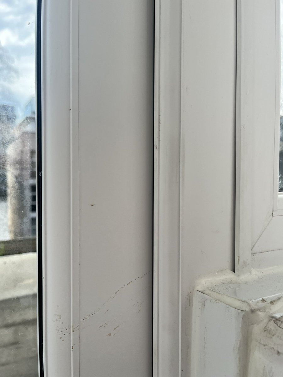 Lisa_SEND's tweet photo. My god why employ cowboy builders @helloPeabody now I have to wait for removal and installation of new window/doors bc these ones do not fit meaning my flat keeps getting water and cold entering &amp; my room is now covered in damp #CowboyBuilders #PGM https://t.co/tnrLaqtynJ