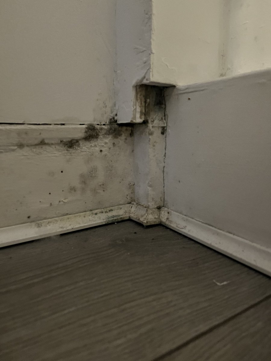 Lisa_SEND's tweet photo. My god why employ cowboy builders @helloPeabody now I have to wait for removal and installation of new window/doors bc these ones do not fit meaning my flat keeps getting water and cold entering &amp; my room is now covered in damp #CowboyBuilders #PGM https://t.co/tnrLaqtynJ