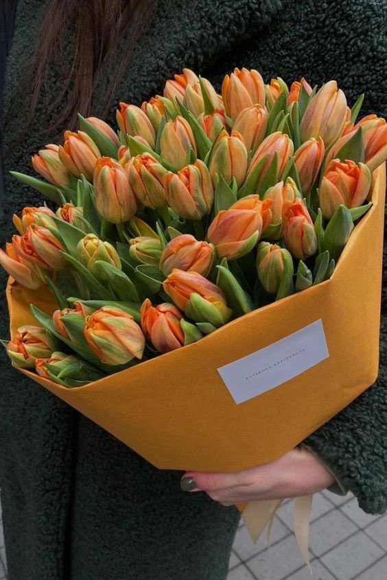 SelectOutfit's tweet photo. orange tulips https://t.co/DGps2zsVzj