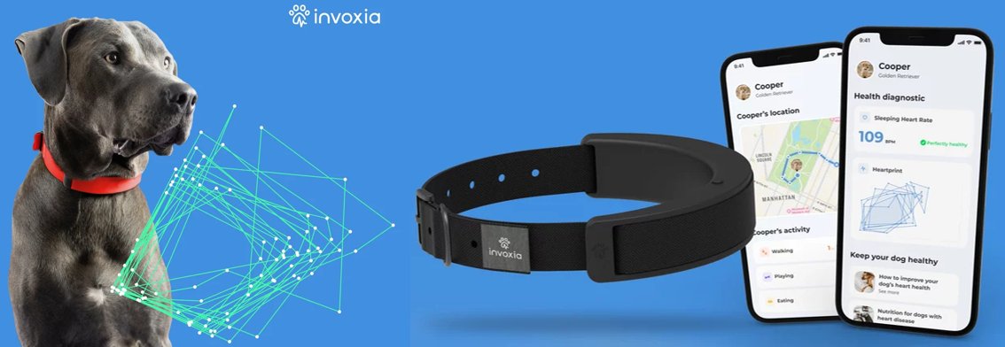 Rémy TESTON tweet media