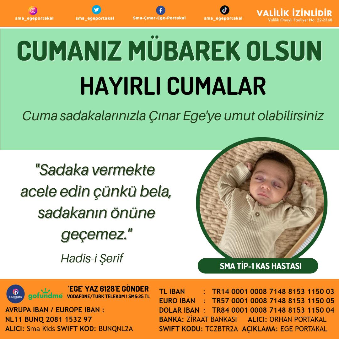 GngSevil's tweet photo. #VaktimizDar #ÇınarEgeyeumutol https://t.co/9PzHPDsKD7