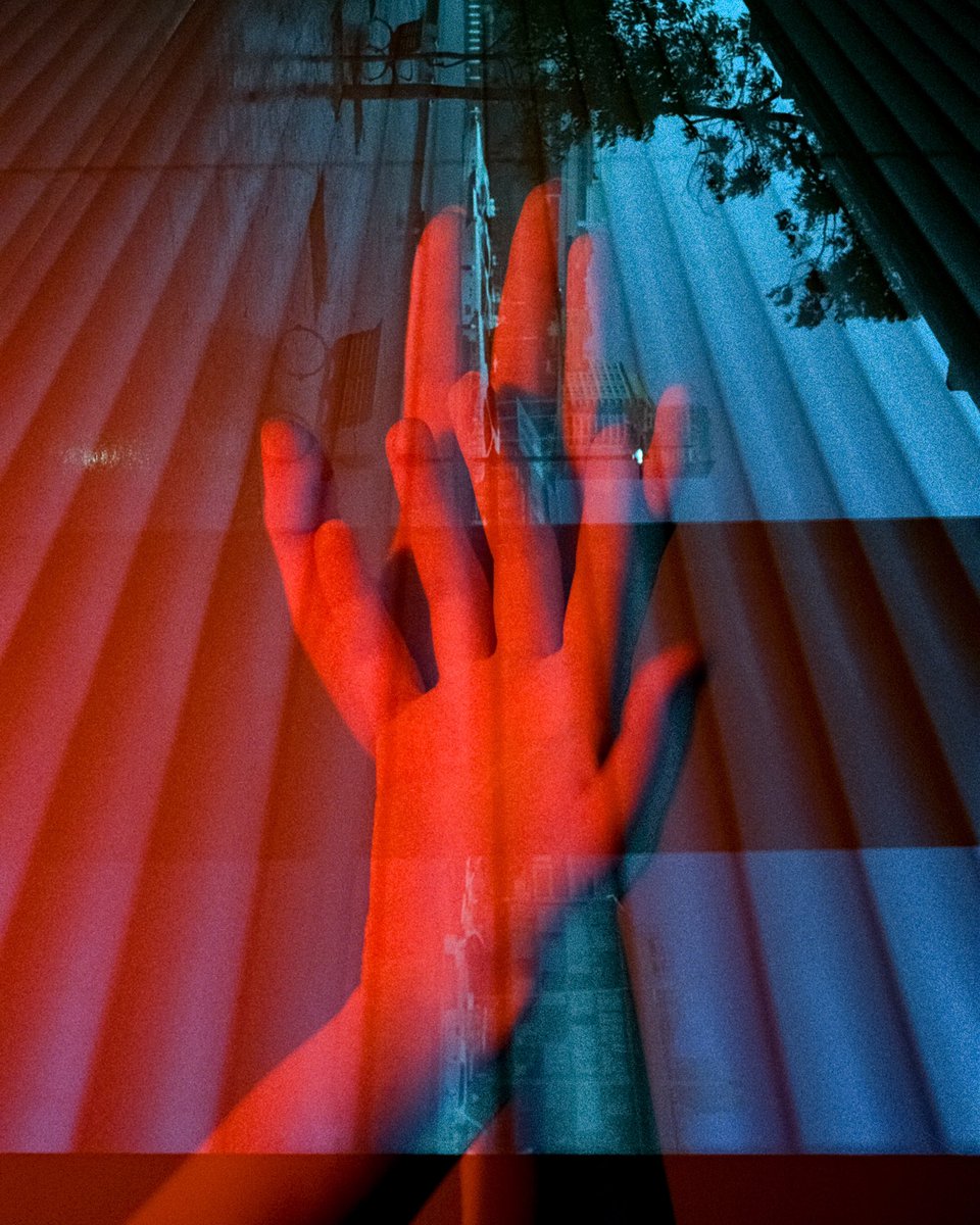 David Sark tweet media