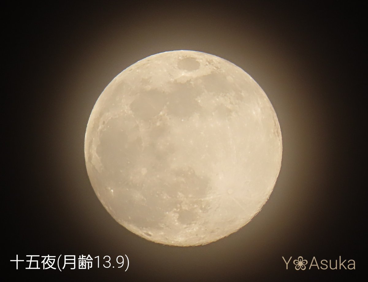 yumeasutw's tweet photo. 十五夜月🌕️✨
お疲れ様です🏁
#薄雲 が広がる穏やかな #夕暮れ 🌆
東の空に昇る優しい光を放つ
🌕️ #十五夜 のお月様(月齢13.9)
南の空高く #木星 が✨
※満月は7日8時8分
#空の名前
#天気の図鑑 #雲友の会
#夕空 #夕焼け #鉄塔 #電柱 #電線
#月 #moon
#a2023 #a0106 #a202301 #a2023011 https://t.co/MILxUqPPrg
