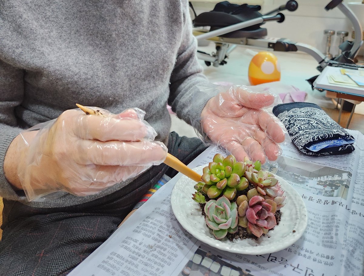 dabeemam's tweet image. 울 친정엄마의 첫 다육아트
재활치료 차 우리집으로 오셔서 내가 할 수있는 다육아트로 원예치료를 해보았다.
병원에서 할 수있는 치료도 병행하면서 빨리 일상으로 돌아갈 수 있도록 노력하자..
#다육아트 #원예치료