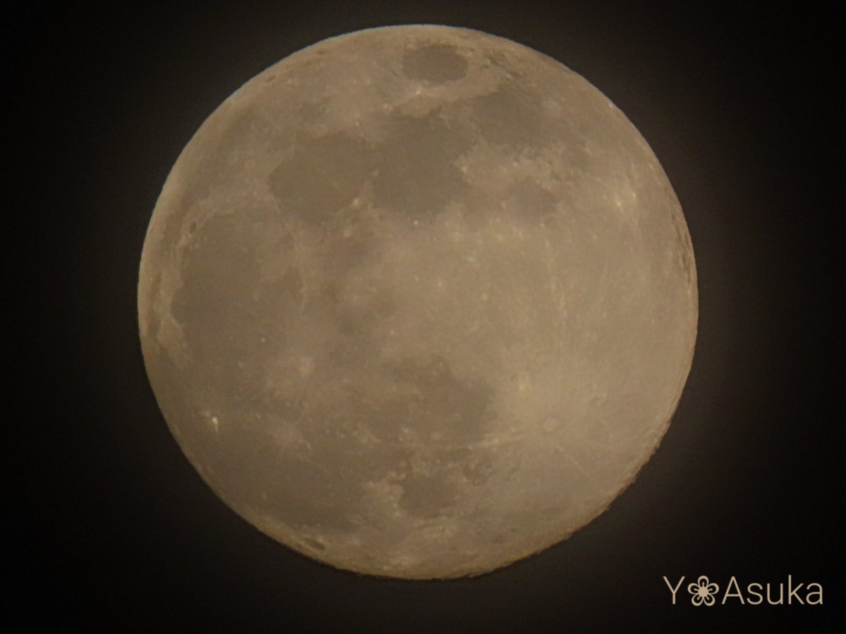 yumeasutw's tweet photo. 十五夜月🌕️✨
お疲れ様です🏁
#薄雲 が広がる穏やかな #夕暮れ 🌆
東の空に昇る優しい光を放つ
🌕️ #十五夜 のお月様(月齢13.9)
南の空高く #木星 が✨
※満月は7日8時8分
#空の名前
#天気の図鑑 #雲友の会
#夕空 #夕焼け #鉄塔 #電柱 #電線
#月 #moon
#a2023 #a0106 #a202301 #a2023011 https://t.co/MILxUqPPrg