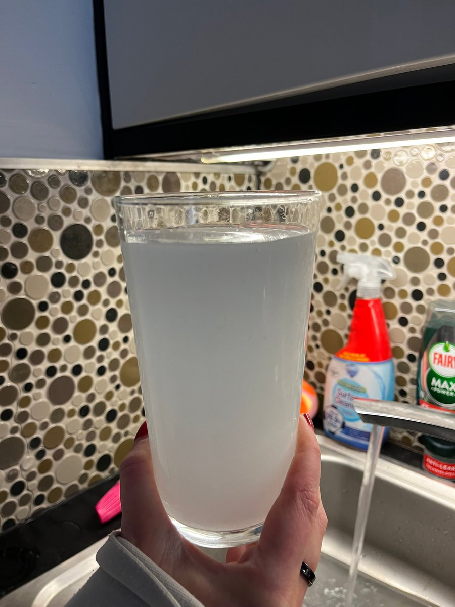 RosieRees's tweet photo. @Royal_Greenwich @thameswater Is this why our water looks like cloudy lemonade? 😳 https://t.co/0iTkgagGhu