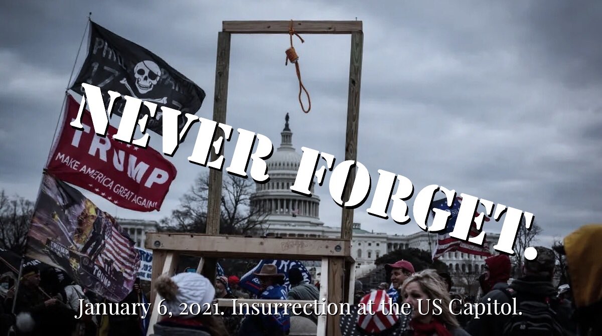 RoslinResists's tweet photo. On the anniversary of the #January6thInsurrection let’s remember why we must be cautious in putting our trust in the GOP to act in the best interests of the country and follow the rule of law. #SpeakerVote https://t.co/eNvgQmynLO