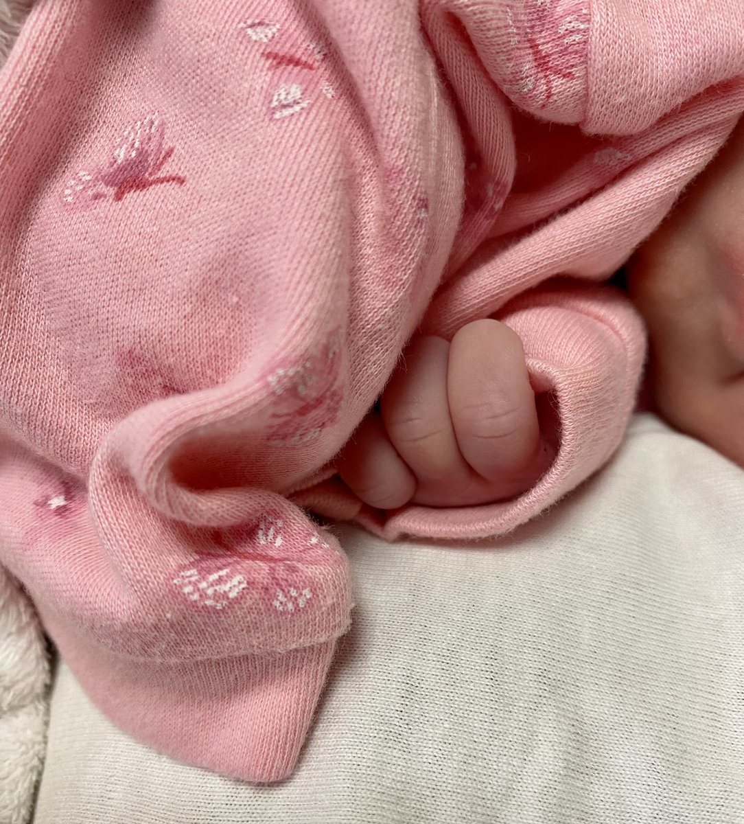 Sercan Meriç tweet media