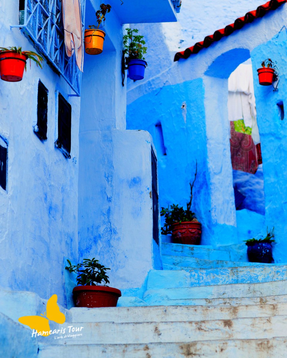 HamearisTour's tweet photo. ✈TOUR CITTA' IMPERIALI E DESERTO✈🌴
Offerta della settimana!!
Casablanca / Rabat / Meknes / Fes / Valle dello Zizi / Erfoud / Tinghir
Ouarzazate / Ait Ben Haddou / Marrakech
da € 980,00 in pensione completa

Città dai vicoli di pietra dorata, ricchi di mistero, che si… https://t.co/zD7N0wTNtC