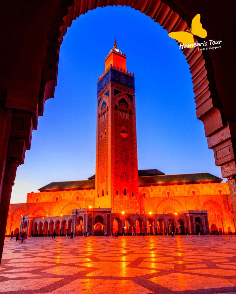 HamearisTour's tweet photo. ✈TOUR CITTA' IMPERIALI E DESERTO✈🌴
Offerta della settimana!!
Casablanca / Rabat / Meknes / Fes / Valle dello Zizi / Erfoud / Tinghir
Ouarzazate / Ait Ben Haddou / Marrakech
da € 980,00 in pensione completa

Città dai vicoli di pietra dorata, ricchi di mistero, che si… https://t.co/zD7N0wTNtC