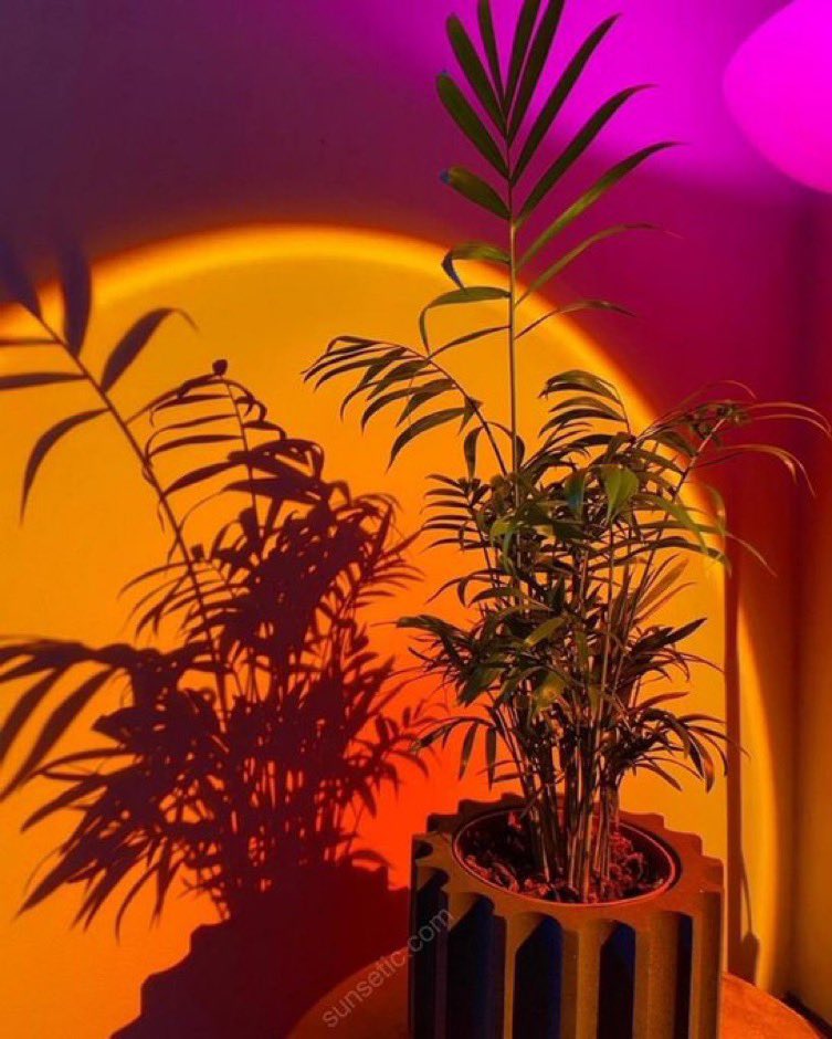 thereturnofBWA's tweet photo. Invest in your room, get yours a sunsetic Iamp.
https://t.co/0UwZimV1Cw https://t.co/ktKmeW1Es7