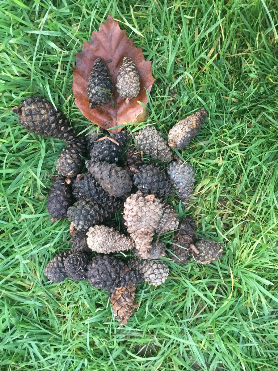 Y2_BBSM's tweet photo. Year 2 had lots of fun learning and creating outside yesterday. We finished our topic learning about Andy Goldsworthy by creating our own art installations outside! 🌎💚🍂🍁🌲#smbbart #smbboutdoorlearning https://t.co/vFmDmzu1TF