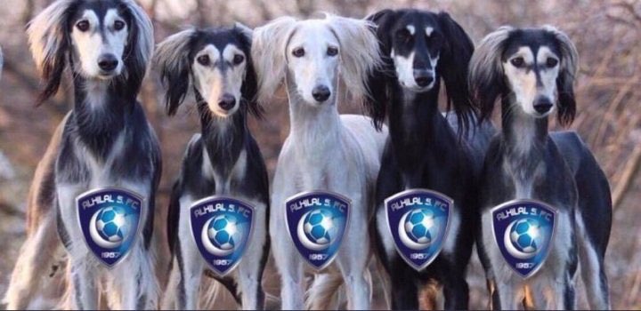kool9708's tweet photo. #كلاسيكو_المواقيف
يا شين بعض الناس دايم ملاقيف
و ماهمهم غير النصر  و ايش سوا

و عشان صارت  انديتهم  مواقيف
كل  واحد  مثل  الكلب  قام  يتعوا https://t.co/uPv0oLu1YM