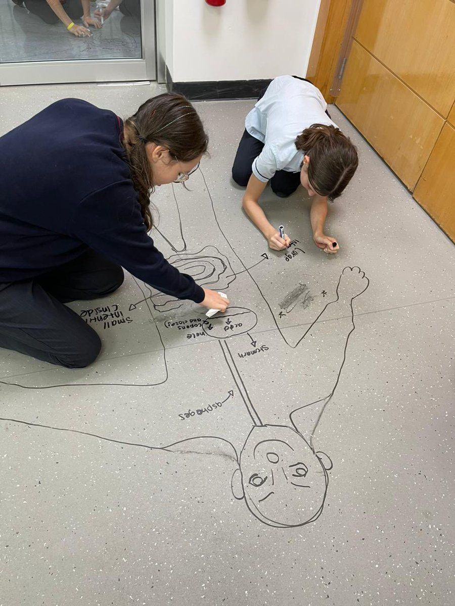 Science | Dubai British School tweet media