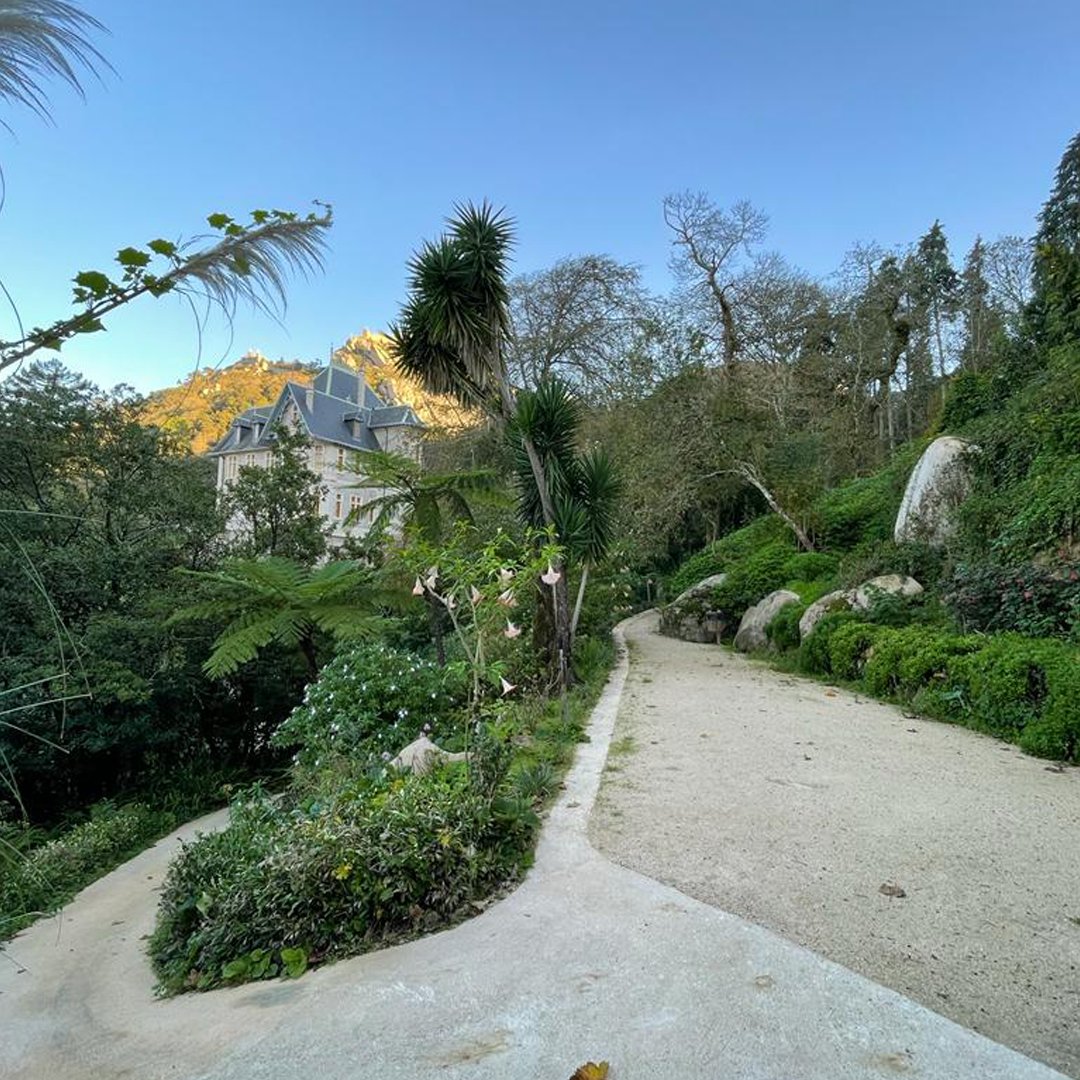 biesterpalace's tweet photo. Aproveite o fim de semana para explorar os cantos e recantos do nosso jardim!

Nele encontra um verdadeiro Éden de espécies arbóreas raras e exuberantes, e ainda dois miradouros com vistas únicas.

#sintra #biester #visitsintra #sintraportugal #sintraromantica #sintralovers https://t.co/swIC1SsWIW