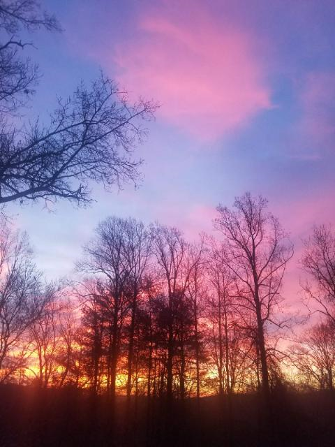 BRAVOMedia1's tweet photo. 💜LOOK AT THE SKY IT IS THE COLOR OF LOVE💜

I am in awe of my image in Debi's Enchanted Forest!  Brings me GRATITUDE to - just look at. 

Happy Friday!

#fridaymorning #fridaymotivation #firsttweetoftheday
#gratitude #HappyFriday https://t.co/aMFtkuYFN0