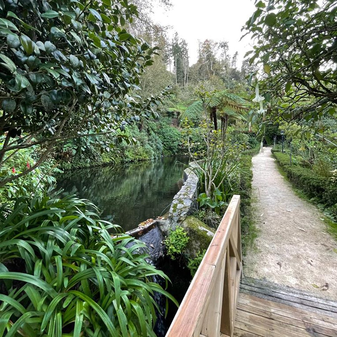 biesterpalace's tweet photo. Aproveite o fim de semana para explorar os cantos e recantos do nosso jardim!

Nele encontra um verdadeiro Éden de espécies arbóreas raras e exuberantes, e ainda dois miradouros com vistas únicas.

#sintra #biester #visitsintra #sintraportugal #sintraromantica #sintralovers https://t.co/swIC1SsWIW