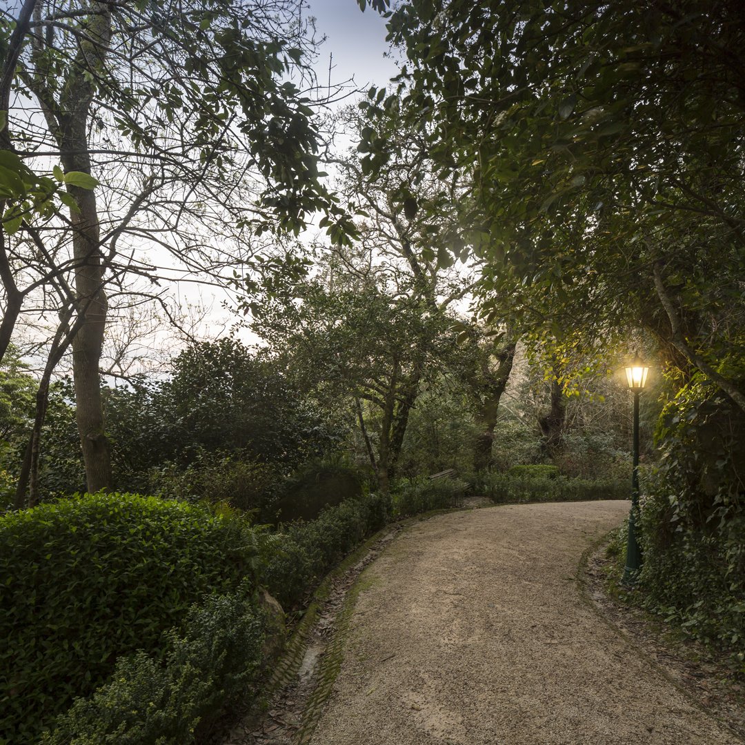 biesterpalace's tweet photo. Aproveite o fim de semana para explorar os cantos e recantos do nosso jardim!

Nele encontra um verdadeiro Éden de espécies arbóreas raras e exuberantes, e ainda dois miradouros com vistas únicas.

#sintra #biester #visitsintra #sintraportugal #sintraromantica #sintralovers https://t.co/swIC1SsWIW