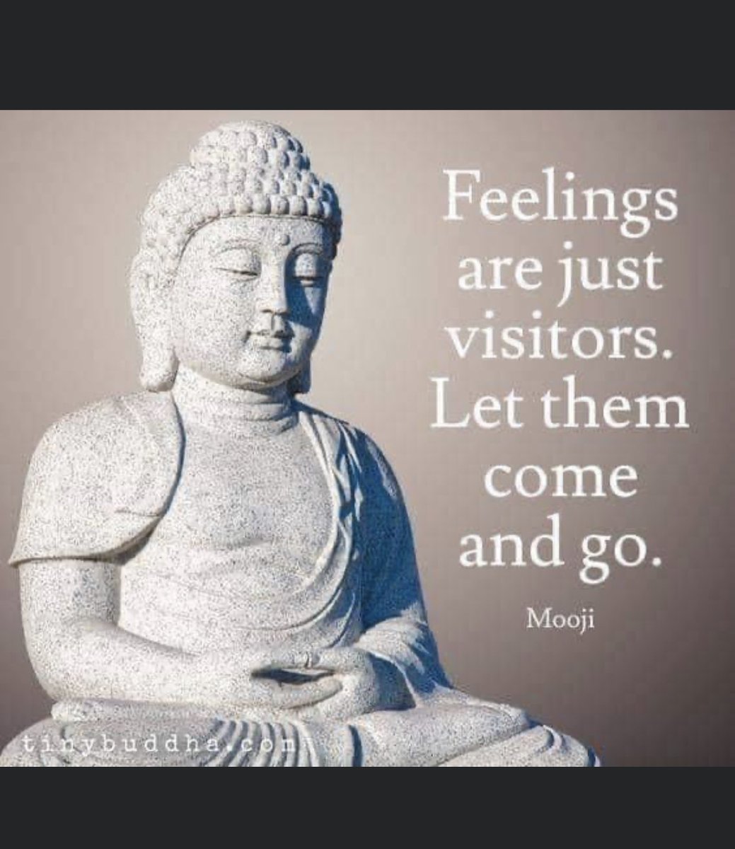 Plan B Mindfulness tweet media