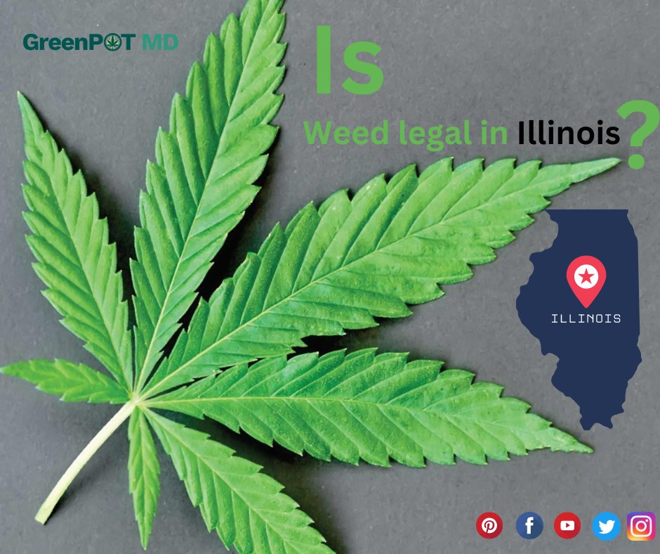GreenpotMd's tweet photo. Yes! The access, purchase, and consumption of marijuana are legal in Illinois.
To know about Visit https://t.co/M5U16wmVV6
#US #texas #reciprocity #illinois #GreenPotmd #virginia #california #newyork #maryland #Indiana #Legalization #Minnesota #oklahoma #cannabis #legalizeweed https://t.co/rrAF0pJpTB