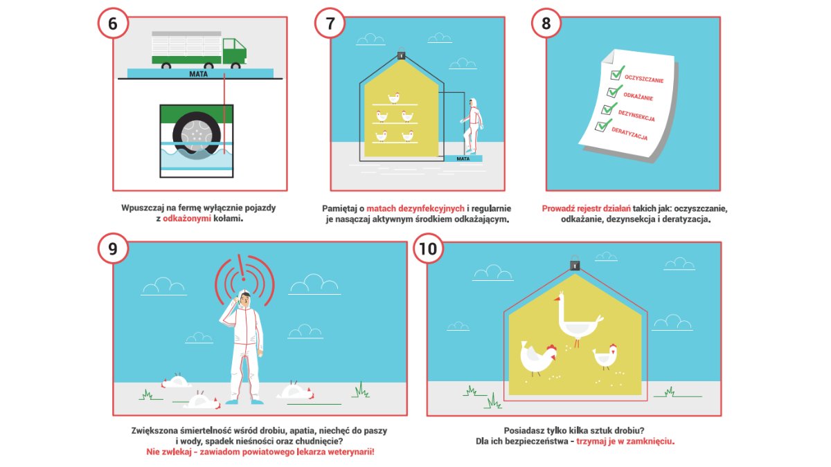 Należy natychmiast skontaktować się z Powiatowym Lekarzem Weterynarii, jeżeli:

♦️ Znaleźliśmy miejsce, w którym są padłe dzikie ptaki,
♦️ Zauważyliśmy jakiekolwiek możliwe objawy wirusa H5N1 u swojego drobiu

Zalecane jest ścisłe przestrzeganie zasad higieny.

#FPMD