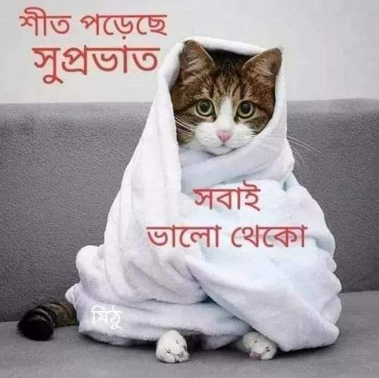 It is too cold: take precautions: stay well