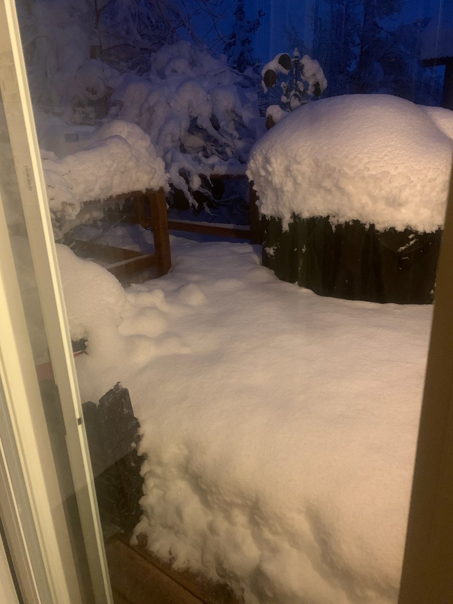 Loving them snow days