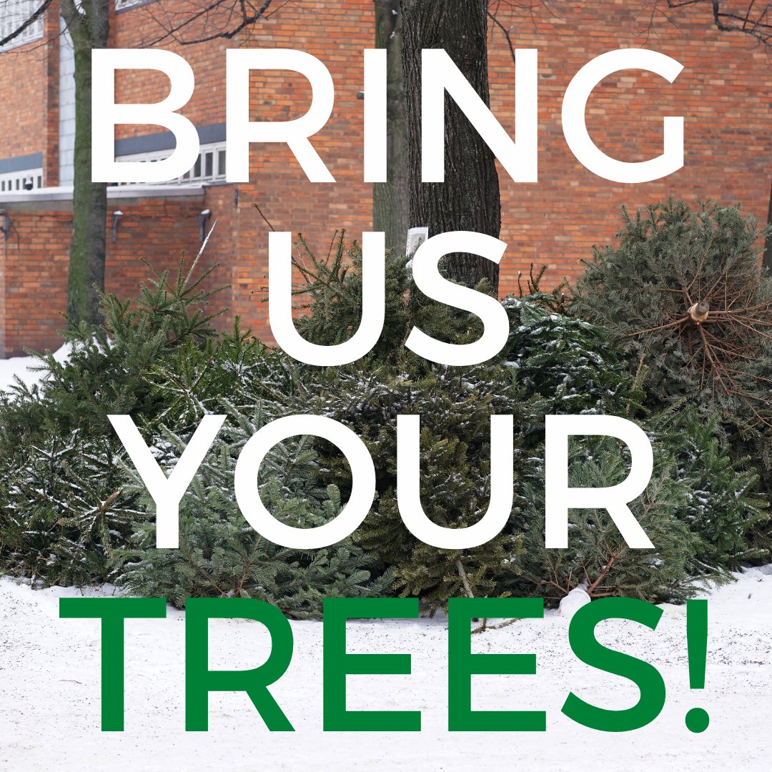 BRING US YOUR TREES! 🌲🌲🌲
The holidays have come and gone. Before you haul your old tree down to the curb - consider giving it a second life! Drop used trees at the edge of the skating rink, and we'll give it a new life - decorating the rink &amp; skating puddle!

100 Thornwood Rd