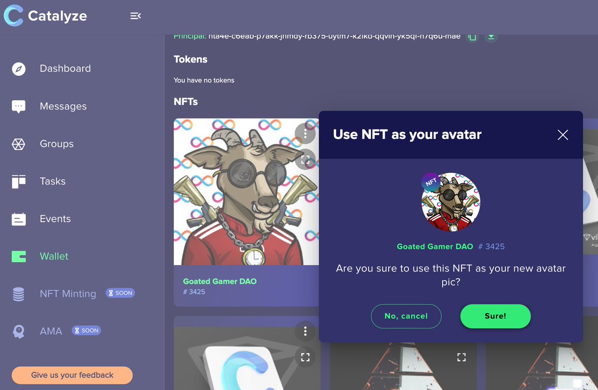 catalyze_one's tweet photo. Happy Friday #Catalyze family!😊
What do you think about our latest releases? What's your favourite feature so far? New tools are coming soon at 👉 https://t.co/MZWUa5KkjH https://t.co/A7DEnJGlgA