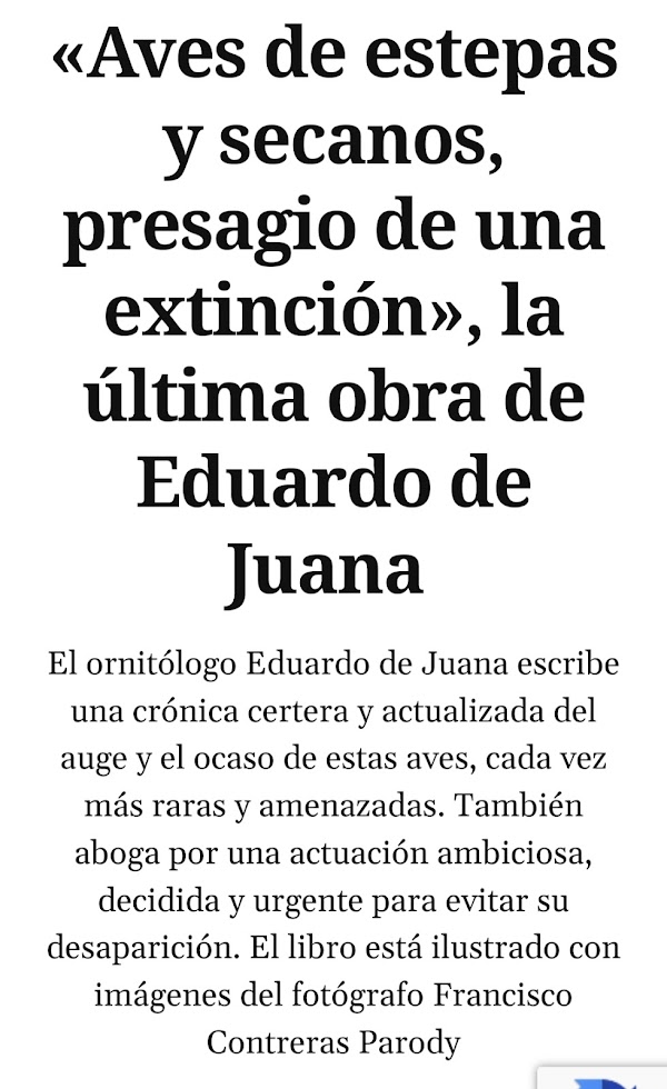 "No podemos dejar que el tesoro natural y cultural que suponen las aves de nuestros secanos desaparezca." 🎙️Eduardo de Juana, autor del libro "Aves de estepas y secanos, presagio de una extinción."👇 @Diario_16 
diario16.com/aves-de-estepa…