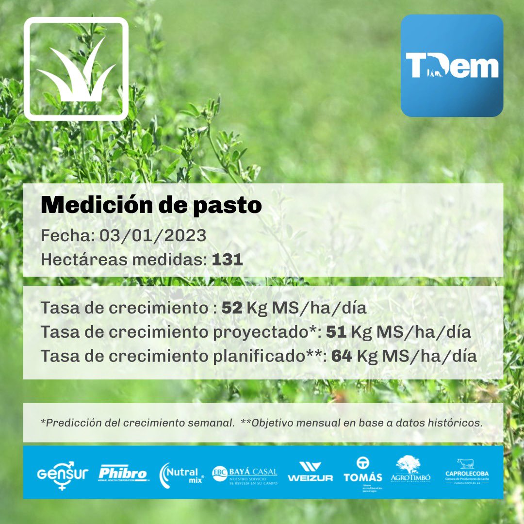 TamboDemArgentina tweet media