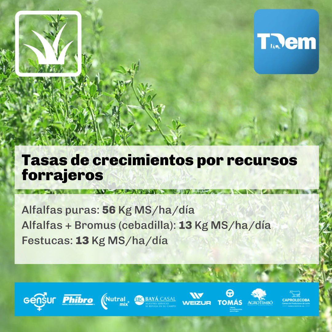Ya está disponible en la web el informe semanal de TamboDem. Click aquí tambodem.com/informes/seman…
.
.
<a href="/CuencaOeste/">CAPROLECOBA</a> <a href="/DVillulla/">Daniel Villulla</a> <a href="/GuillerminaMas/">Gui+</a>