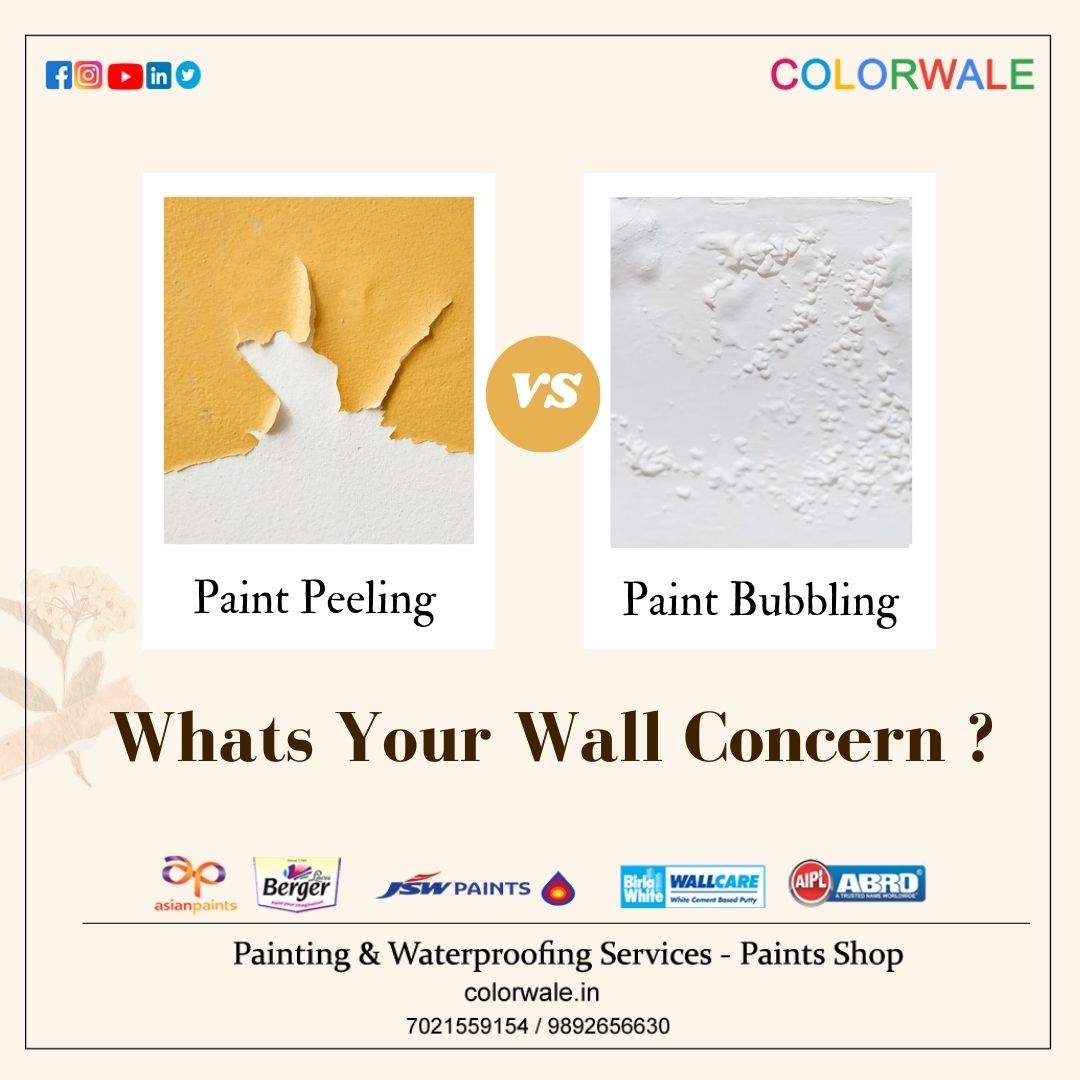 colorwale's tweet photo. Whats your wall concern 

Paint Peeling?
Paint Bubbling?
.
.
.
.
.
#asianpaints #bergerpaints @JSWPaints @asianpaints https://t.co/X47PbOlCVa