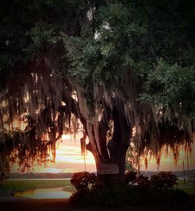 HighCoSheriff's tweet photo. Good Morning, Highlands County!
"If you want to lift yourself up, lift up someone else." -- Booker T. Washington
Photo by Melissa Curry
#GoodMorningHighlandsCounty #highlandscountyfl #whywelivehere https://t.co/FNaHTPYvi9