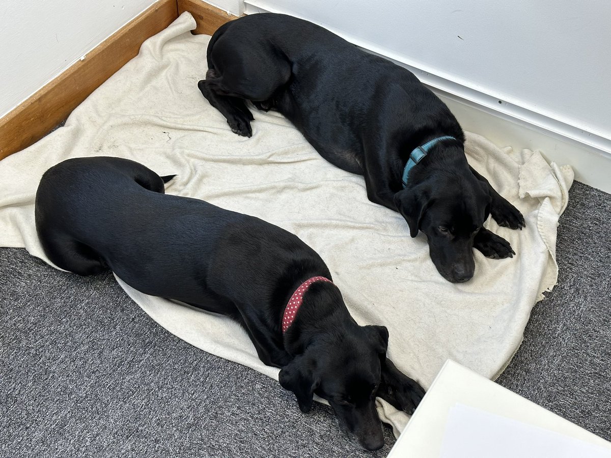 127solutions's tweet image. Testing new solutions is an important part of what we do. Today we have our Lab testers in the office.