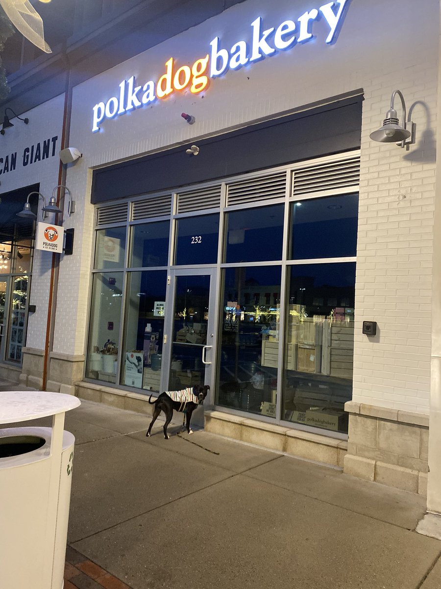 GroovyNft's tweet photo. What do u mean there not open ruff life @polkadogtreats https://t.co/j21dluLsRH