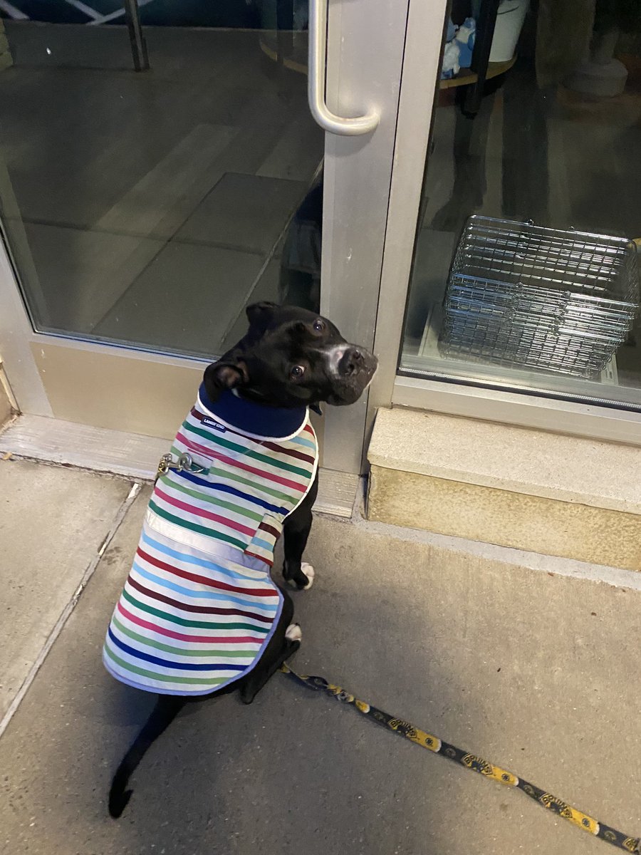 What do u mean there not open ruff life <a href="/polkadogtreats/">Polkadog</a>