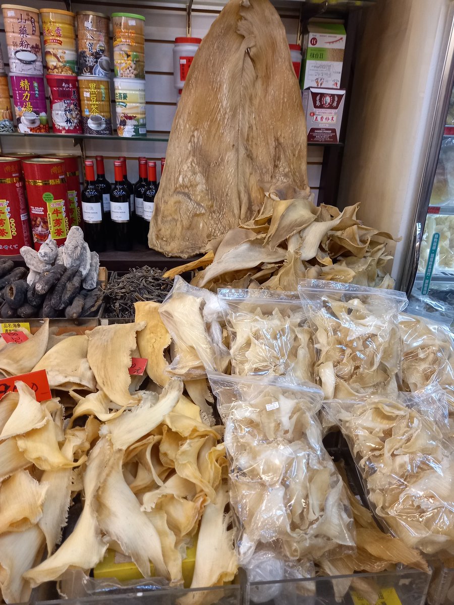 🦈 Shark fins on sale in Taipei. Those are full sized wine bottles at the back for sense of scale <a href="/amgriffiths01/">Andrew Griffiths</a> <a href="/cathyhobbs123/">Cathy Hobbs</a>