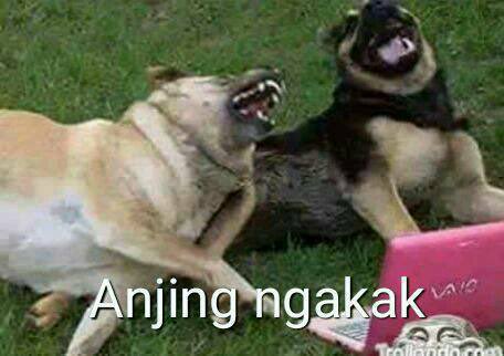 simikelenjelo's tweet photo. @txtdrberseragam https://t.co/KPbcL6T65Y
