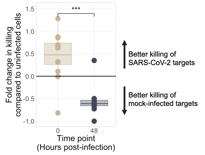 Dr. Jeff Gilchrist on Twitter "The researchers found that NK cells are