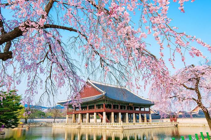 serunikuning's tweet photo. Jjongsang historical au prompt
Prequel the time comes https://t.co/bf4TM4wvzZ