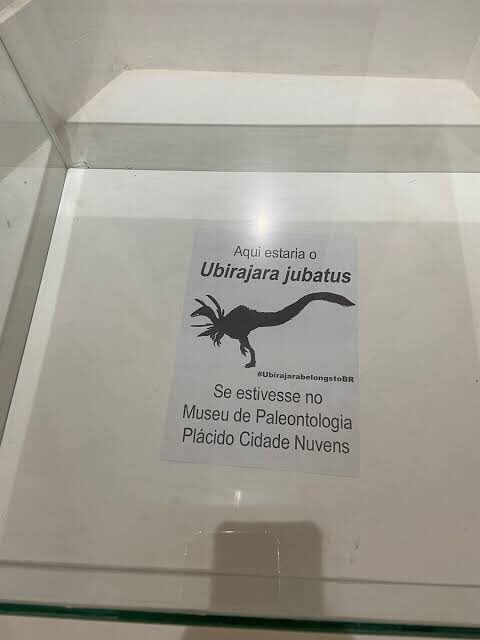 alinemghilardi's tweet photo. Só pra lembrar que apesar de prometido, o fóssil ainda não retornou. #ubirajarabelongstobr https://t.co/vmfbYuH2hG