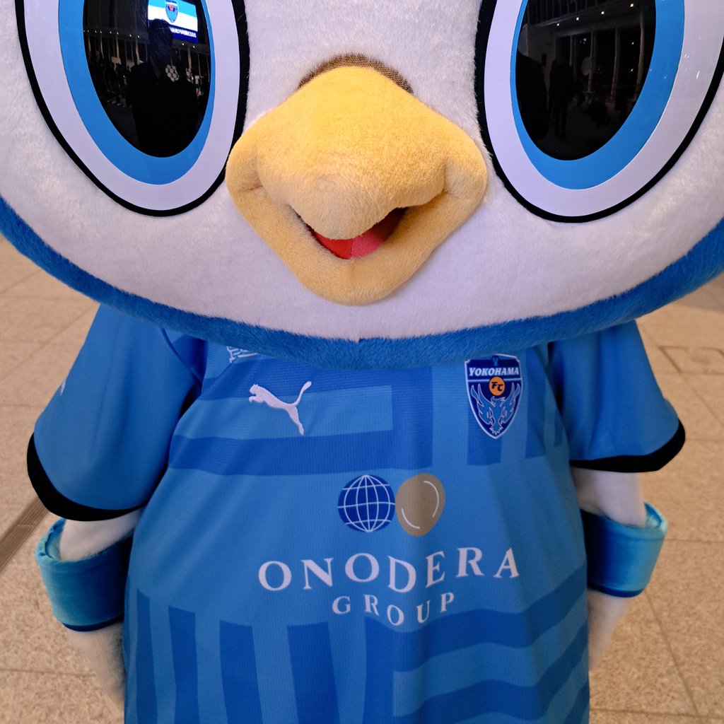 nagashima46's tweet photo. 2023シーズン始まります。
よろしくお願いします。
#yokohamafc https://t.co/Ra2XYfI7Zp