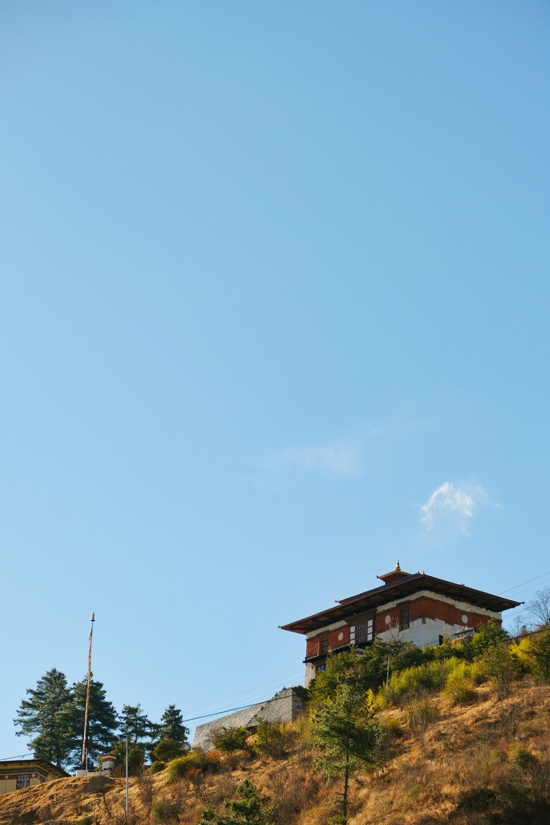 tashimlt18's tweet photo. Majestic

#dechen_phodrang
#fujifilm_graphy
#green
💚💚💚 https://t.co/0FRHncUg2i