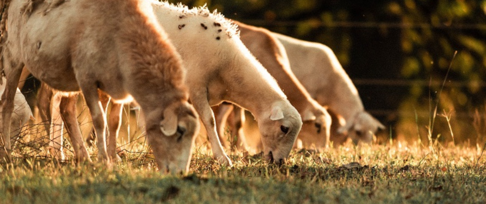 forbesdawson's tweet photo. Grazing agreements are good for stamp duty land tax (SDLT), read today's tax bite...
https://t.co/6cjVOudYKS https://t.co/IW2bcSfaRD