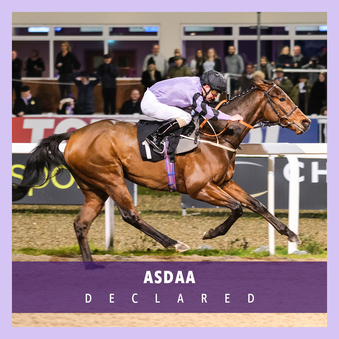 ownersgroupuk's tweet photo. Asdaa is back in action today, fresh from his recent impressive wins at Kempton and Newcastle. Can he make it three wins in 11 days? He is back at Kempton today, in the 6:30, for trainer Charlie Johnston with jockey Jack Mitchell. ✨  #Asdaa #OwnersGroup https://t.co/PS9oyE5h6S