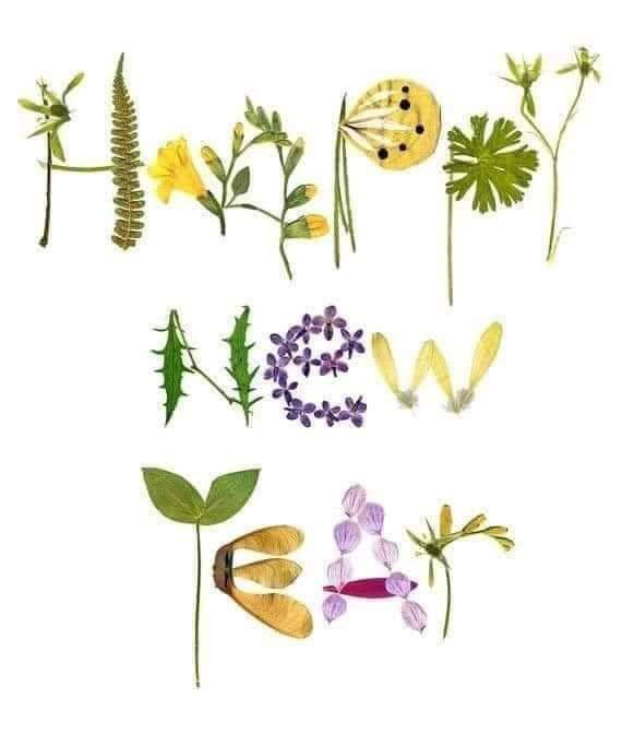 PappusProject tweet media