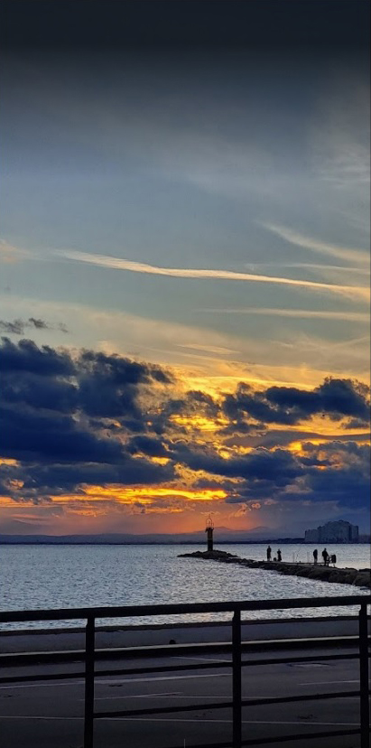 jackso.bar.music tweet media