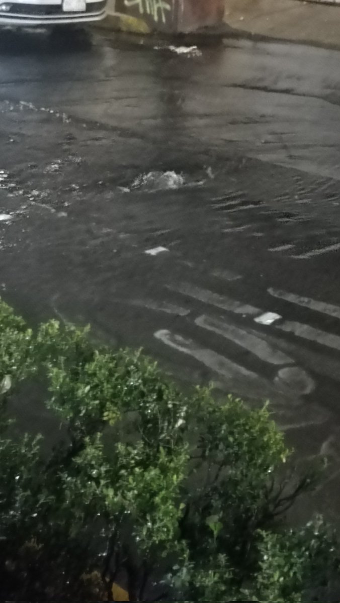 wolf198002's tweet photo. Fuga de agua enorme en la calle de gelati esquina Juan cano..estén la colonia San Miguel Chapultepec alcaldía Miguel Hidalgo .. https://t.co/bbPFJk0prm